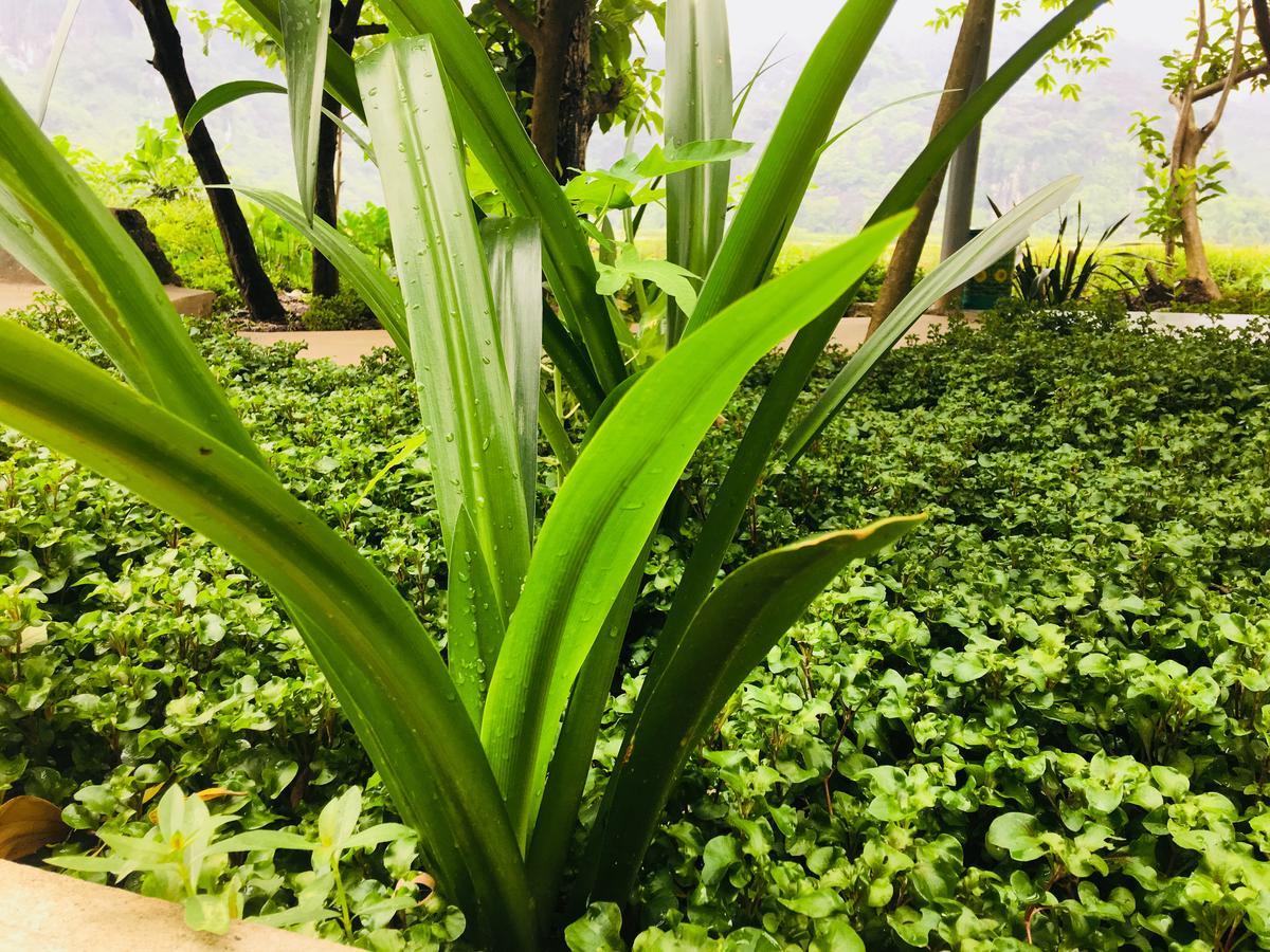 Trang An Nature House Ninh Bình Ngoại thất bức ảnh